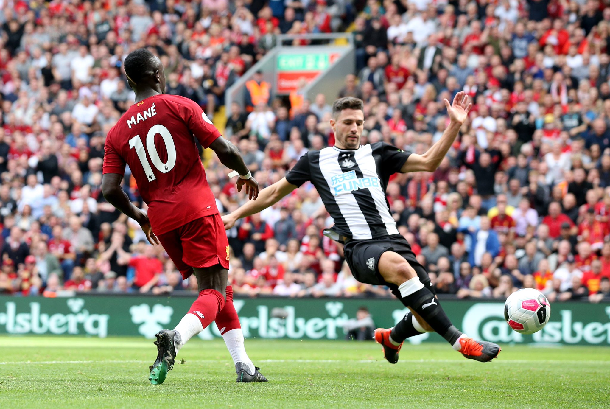 和极强的恢 和极强的恢